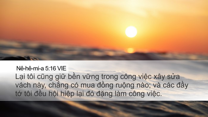 Nê-hê-mi-a 5:16 VIE Desktop Wallpaper - Lại tôi cũng giữ bền vững trong công - Desktop Bible Verse Wallpaper