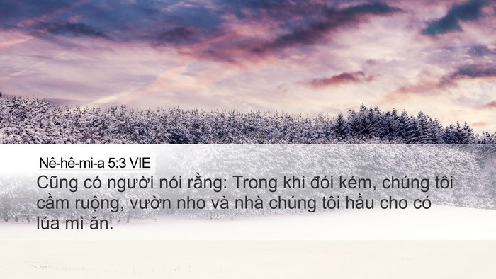 Nê-hê-mi-a 5:3 VIE Desktop Wallpaper - Cũng có người nói rằng: Trong khi đói - Desktop Bible Verse Wallpaper