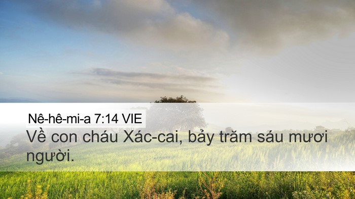 Nê-hê-mi-a 7:14 VIE Desktop Wallpaper - Về con cháu Xác-cai, bảy trăm sáu mươi - Desktop Bible Verse Wallpaper