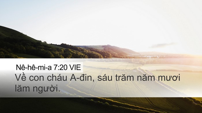 Nê-hê-mi-a 7:20 VIE Desktop Wallpaper - Về con cháu A-đin, sáu trăm năm mươi - Desktop Bible Verse Wallpaper