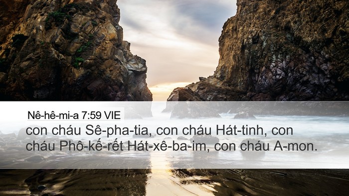 Nê-hê-mi-a 7:59 VIE Desktop Wallpaper - con cháu Sê-pha-tia, con cháu Hát-tinh, con - Desktop Bible Verse Wallpaper