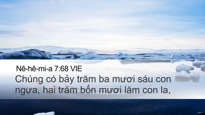 Nê-hê-mi-a 7:68 VIE Desktop Wallpaper - Chúng có bảy trăm ba mươi sáu con ngựa, - Desktop Bible Verse Wallpaper