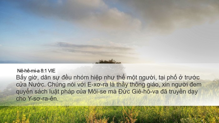 Nê-hê-mi-a 8:1 VIE Bible Verse Image