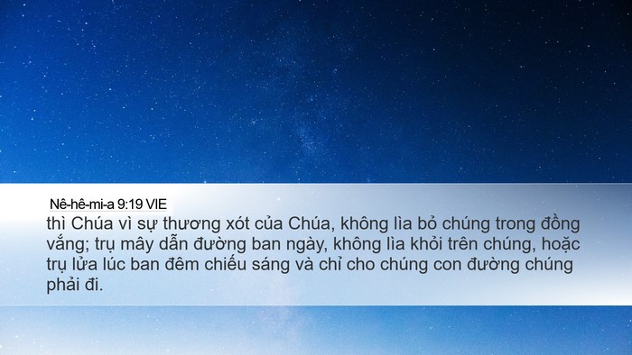 Nê-hê-mi-a 9:19 VIE Bible Verse Image