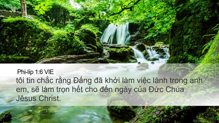 Phi-líp 1:6 VIE Bible Verse Image