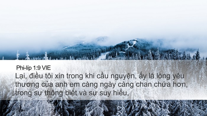 Phi-líp 1:9 VIE Bible Verse Image