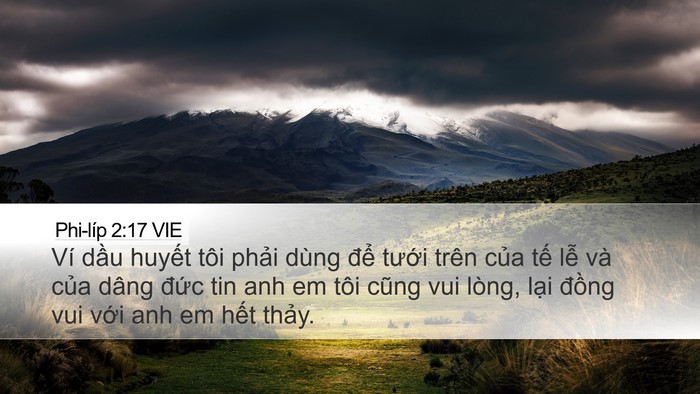 Phi-líp 2:17 VIE Bible Verse Image