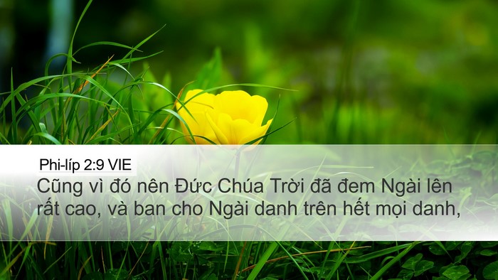Phi-líp 2:9 VIE Bible Verse Image