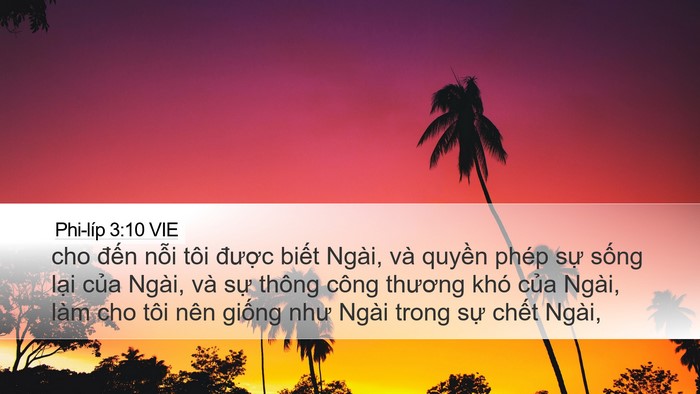 Phi-líp 3:10 VIE Bible Verse Image