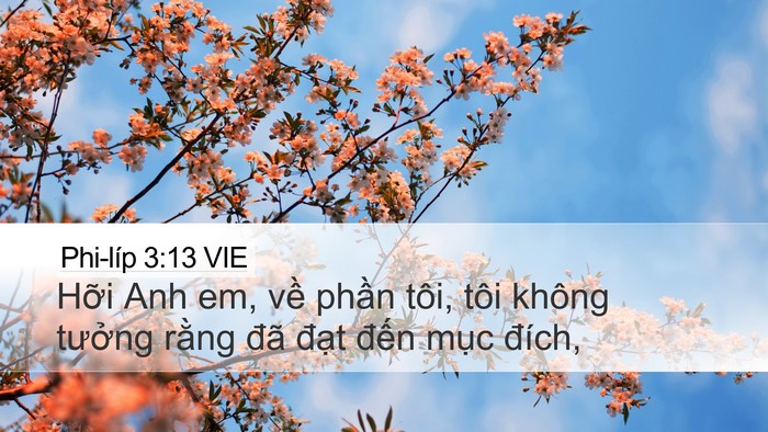 Phi-líp 3:13 VIE Bible Verse Image