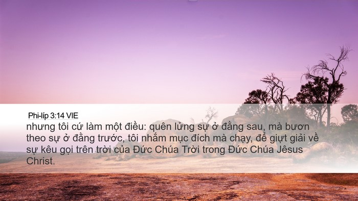 Phi-líp 3:14 VIE Bible Verse Image