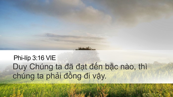 Phi-líp 3:16 VIE Bible Verse Image