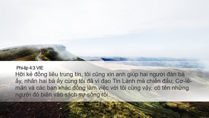 Phi-líp 4:3 VIE Bible Verse Image