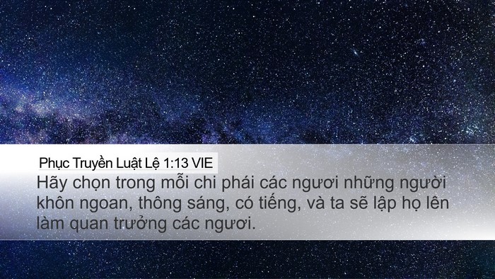Phục Truyền Luật Lệ 1:13 VIE Desktop Wallpaper - Hãy chọn trong mỗi chi phái các ngươi - Desktop Bible Verse Wallpaper