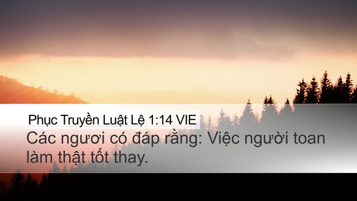 Phục Truyền Luật Lệ 1:14 VIE Desktop Wallpaper - Các ngươi có đáp rằng: Việc người - Desktop Bible Verse Wallpaper