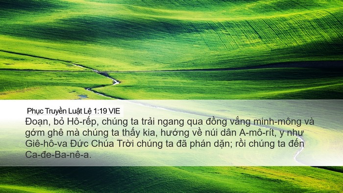 Phục Truyền Luật Lệ 1:19 VIE Bible Verse Image