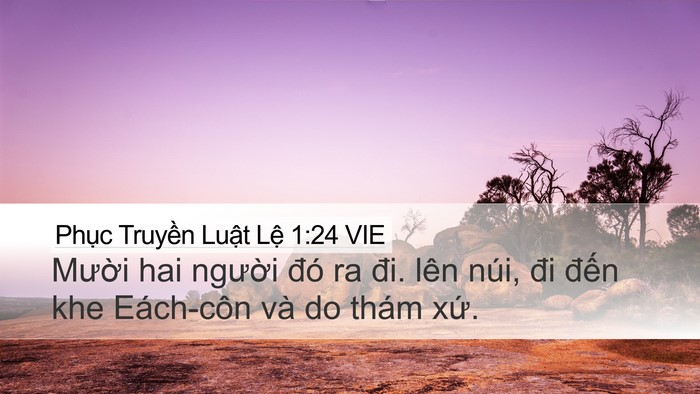 Phục Truyền Luật Lệ 1:24 VIE Bible Verse Image