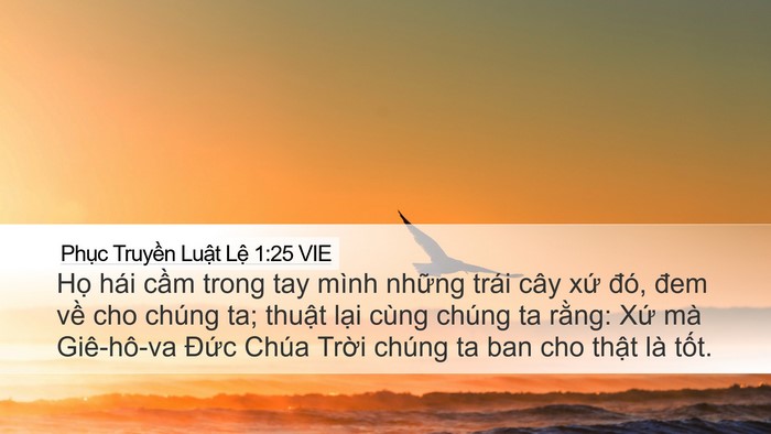 Phục Truyền Luật Lệ 1:25 VIE Bible Verse Image