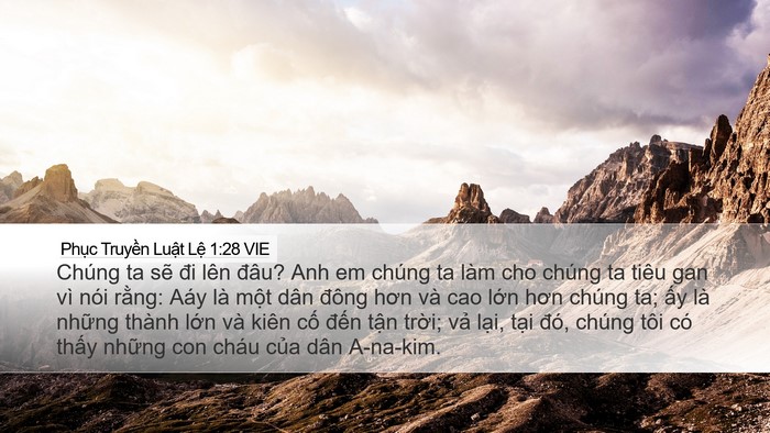 Phục Truyền Luật Lệ 1:28 VIE Bible Verse Image