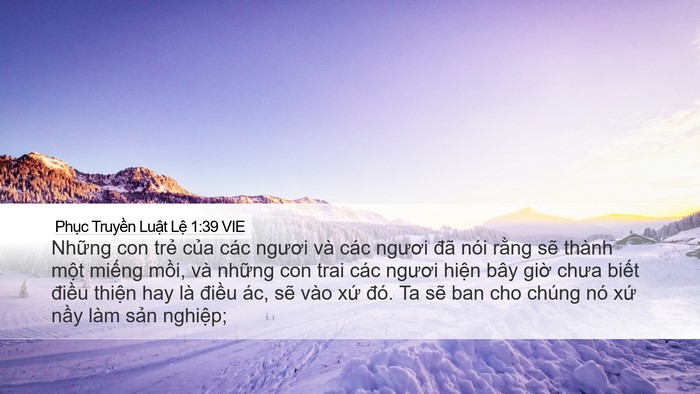 Phục Truyền Luật Lệ 1:39 VIE Bible Verse Image
