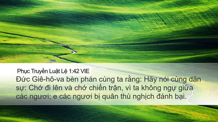 Phục Truyền Luật Lệ 1:42 VIE Bible Verse Image