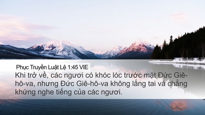 Phục Truyền Luật Lệ 1:45 VIE Desktop Wallpaper - Khi trở về, các ngươi có khóc lóc - Desktop Bible Verse Wallpaper