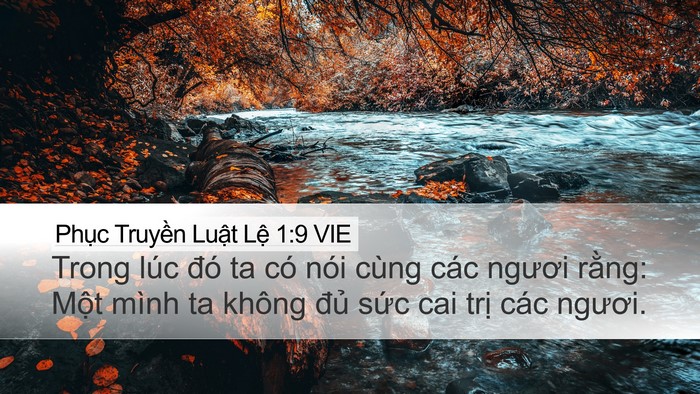 Phục Truyền Luật Lệ 1:9 VIE Bible Verse Image