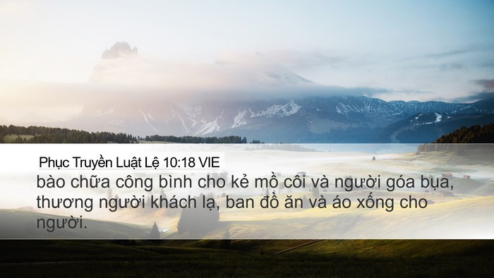 Phục Truyền Luật Lệ 10:18 VIE Bible Verse Image