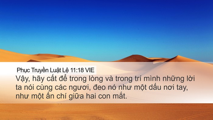 Phục Truyền Luật Lệ 11:18 VIE Bible Verse Image