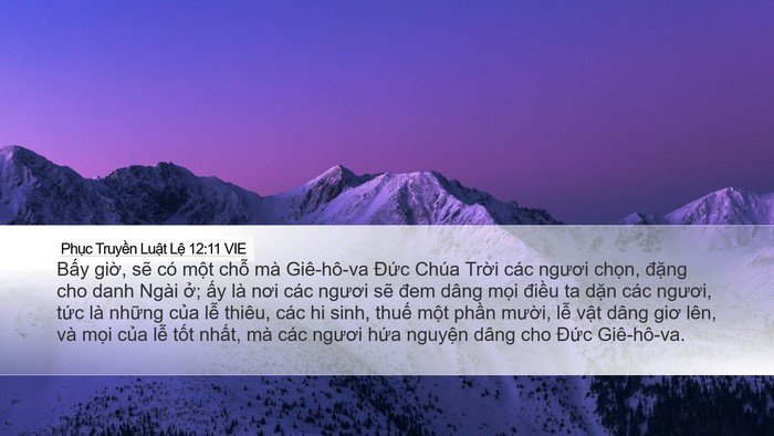 Phục Truyền Luật Lệ 12:11 VIE Bible Verse Image