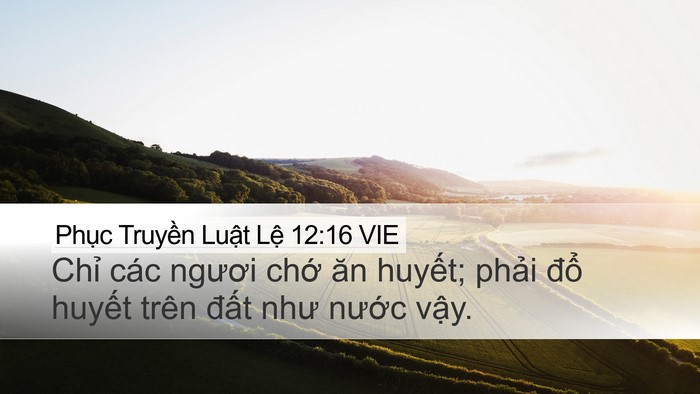 Phục Truyền Luật Lệ 12:16 VIE Bible Verse Image