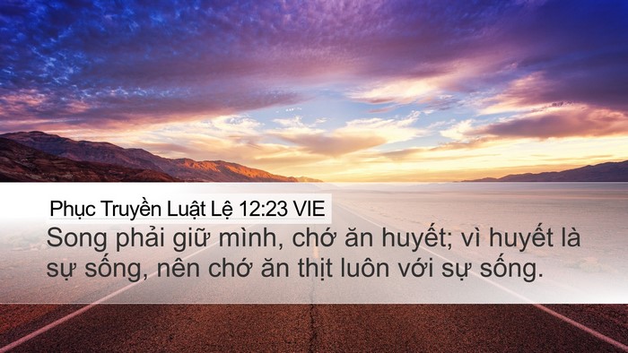 Phục Truyền Luật Lệ 12:23 VIE Desktop Wallpaper - Song phải giữ mình, chớ ăn huyết; vì - Desktop Bible Verse Wallpaper