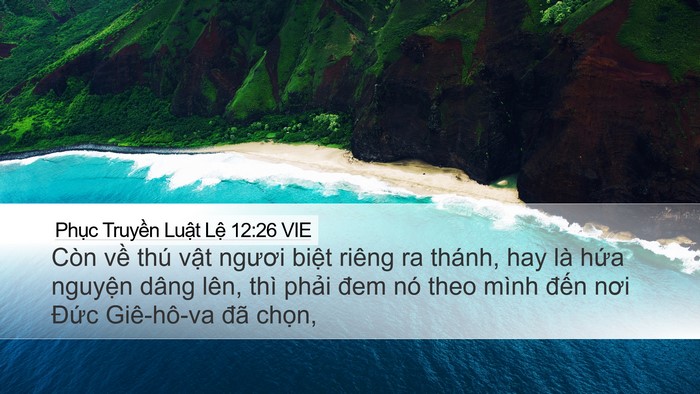 Phục Truyền Luật Lệ 12:26 VIE Bible Verse Image