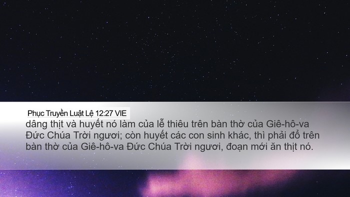 Phục Truyền Luật Lệ 12:27 VIE Bible Verse Image