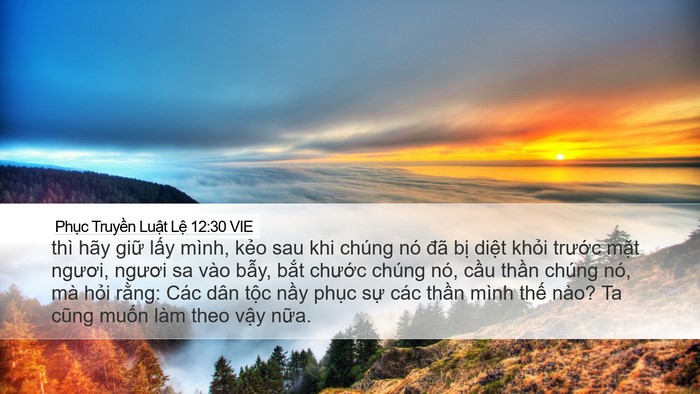 Phục Truyền Luật Lệ 12:30 VIE Bible Verse Image
