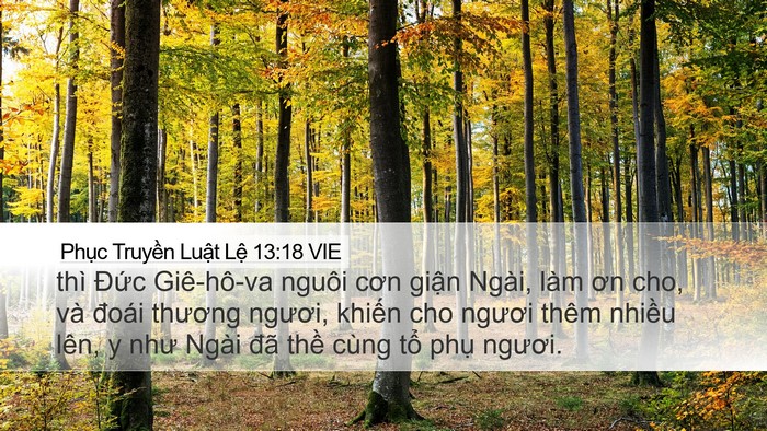 Phục Truyền Luật Lệ 13:18 VIE Desktop Wallpaper - thì Đức Giê-hô-va nguôi cơn giận Ngài, - Desktop Bible Verse Wallpaper