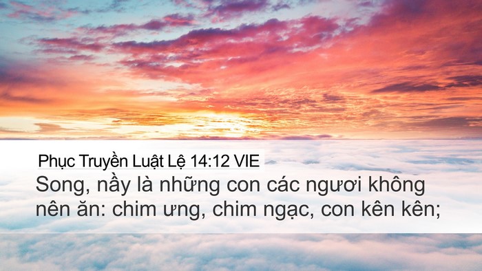 Phục Truyền Luật Lệ 14:12 VIE Bible Verse Image