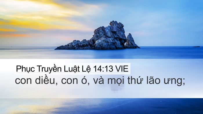 Phục Truyền Luật Lệ 14:13 VIE Desktop Wallpaper - con diều, con ó, và mọi thứ lão - Desktop Bible Verse Wallpaper