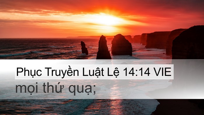 Phục Truyền Luật Lệ 14:14 VIE Desktop Wallpaper - mọi thứ - Desktop Bible Verse Wallpaper