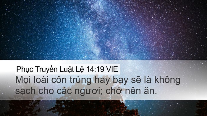 Phục Truyền Luật Lệ 14:19 VIE Bible Verse Image