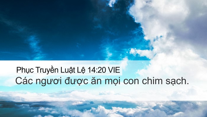 Phục Truyền Luật Lệ 14:20 VIE Desktop Wallpaper - Các ngươi được ăn mọi con chim - Desktop Bible Verse Wallpaper