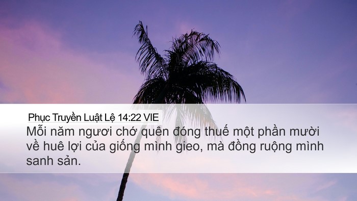 Phục Truyền Luật Lệ 14:22 VIE Bible Verse Image