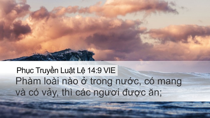 Phục Truyền Luật Lệ 14:9 VIE Desktop Wallpaper - Phàm loài nào ở trong nước, có mang và - Desktop Bible Verse Wallpaper