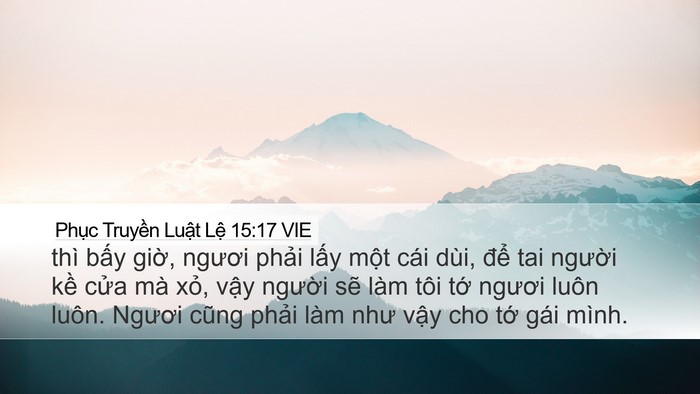 Phục Truyền Luật Lệ 15:17 VIE Desktop Wallpaper - thì bấy giờ, ngươi phải lấy một cái - Desktop Bible Verse Wallpaper