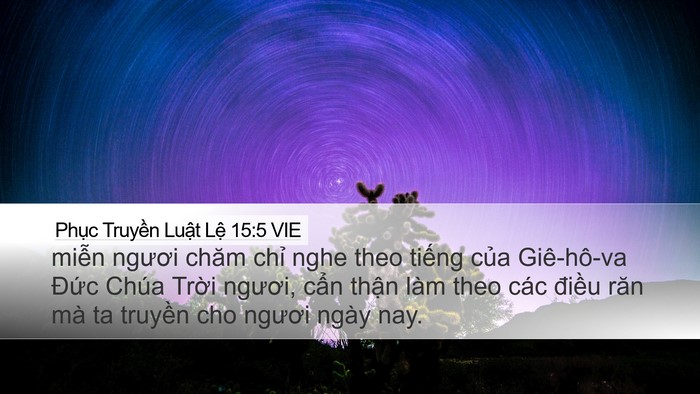 Phục Truyền Luật Lệ 15:5 VIE Desktop Wallpaper - miễn ngươi chăm chỉ nghe theo tiếng - Desktop Bible Verse Wallpaper