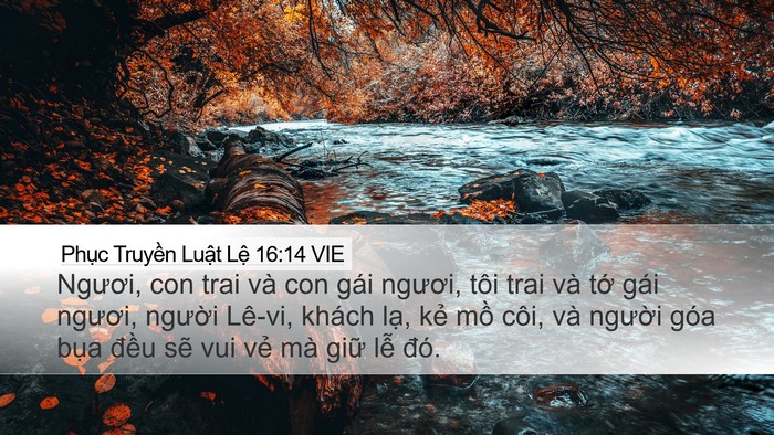 Phục Truyền Luật Lệ 16:14 VIE Bible Verse Image
