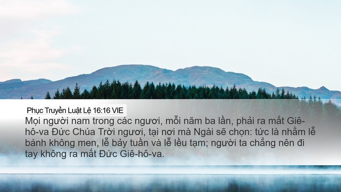 Phục Truyền Luật Lệ 16:16 VIE Bible Verse Image