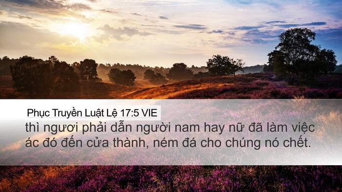 Phục Truyền Luật Lệ 17:5 VIE Bible Verse Image
