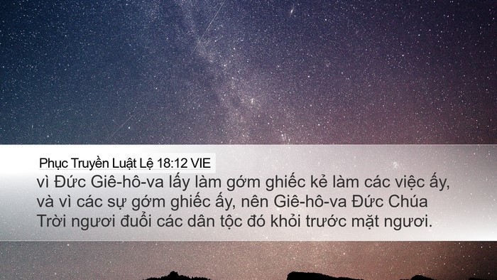 Phục Truyền Luật Lệ 18:12 VIE Bible Verse Image