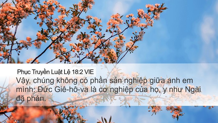Phục Truyền Luật Lệ 18:2 VIE Desktop Wallpaper - Vậy, chúng không có phần sản nghiệp - Desktop Bible Verse Wallpaper
